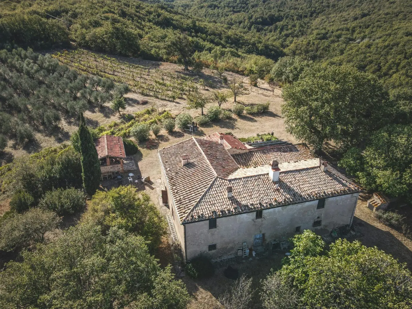 Aerial view of a countryside villa among olive groves and vineyards